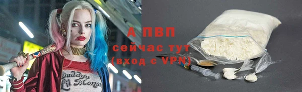 молекула духа Надым